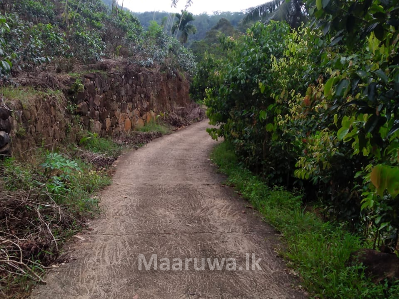 Located in Morawaka, Neluwa Road, Kodikaragoda land for sale Neluwa, Galle Sri Lanka's only
