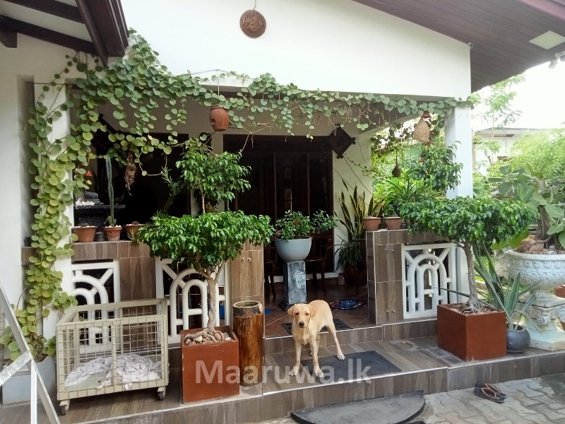 කුරුණෑගල පුත්තලම මාර්ගයේ පැල්ලන්දෙනිය අංගසම්පූණ නිවස විකිණීමට