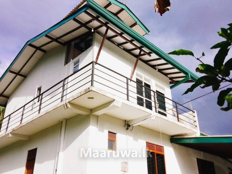 Matara akuressa house for sale with tea Akuressa, Matara Sri Lanka