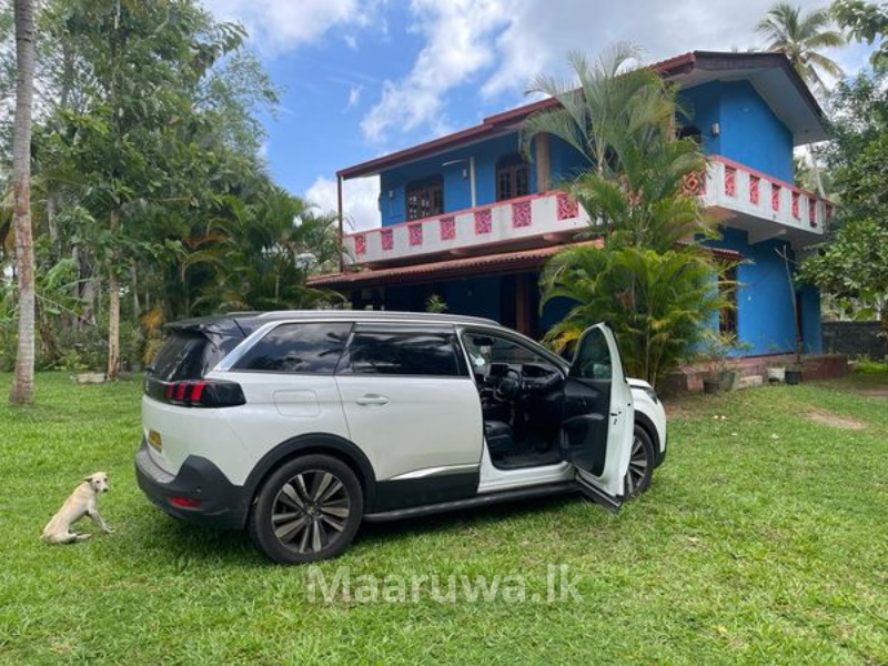 Rich coconut cultivation land Wariyapola, Kurunegala Sri Lanka's