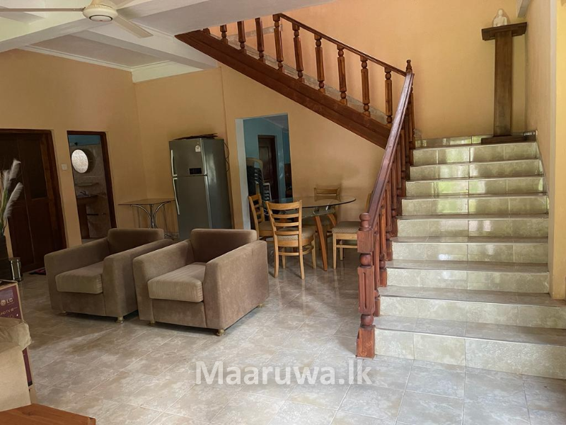 Rich coconut cultivation land Wariyapola, Kurunegala Sri Lanka's